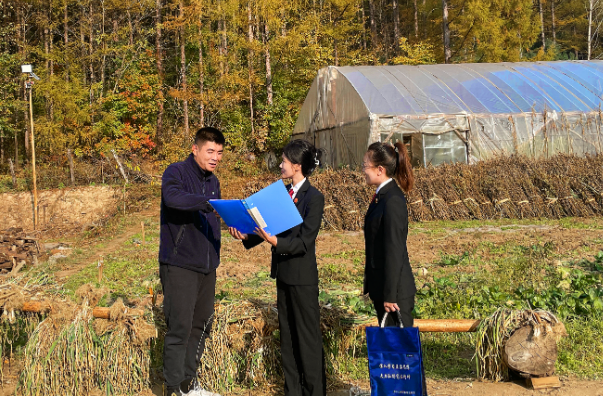 法护林区 这里“枫”景独好