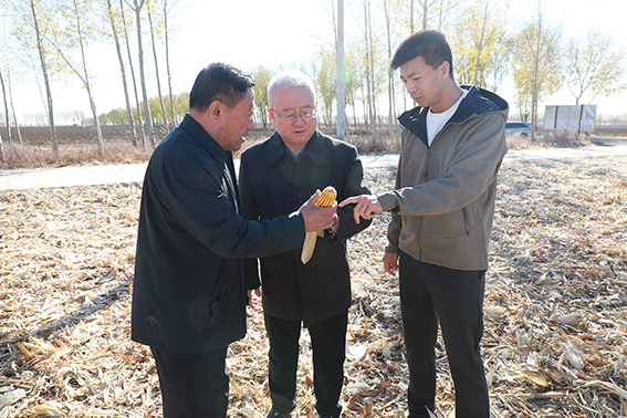 周兴志到民乐村调研指导乡村振兴工作