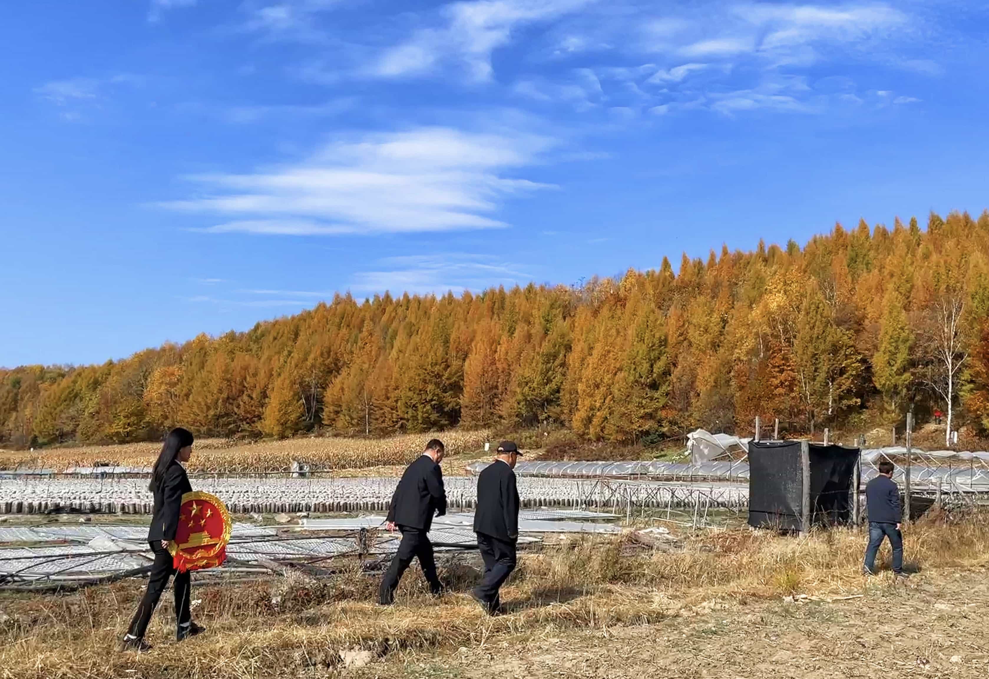 巡回法庭之“除了木桩 ，解了心结”