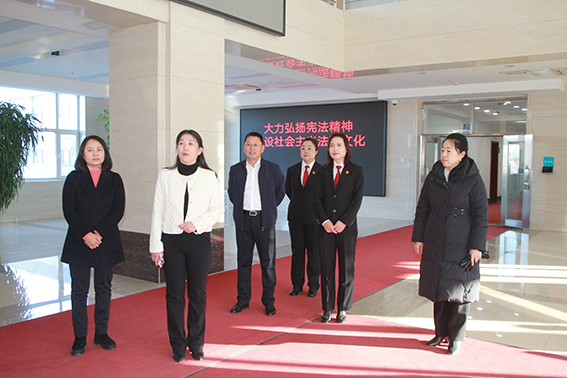 长岭法院联合县妇联开展“宪法宣传周”活动