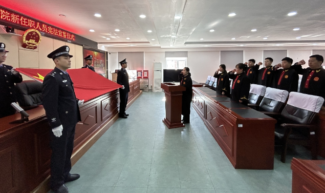 临江市人民法院举行新任职人员宪法宣誓仪式