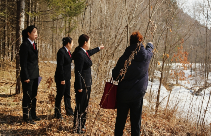 林业承包起争议 环资审判促解决