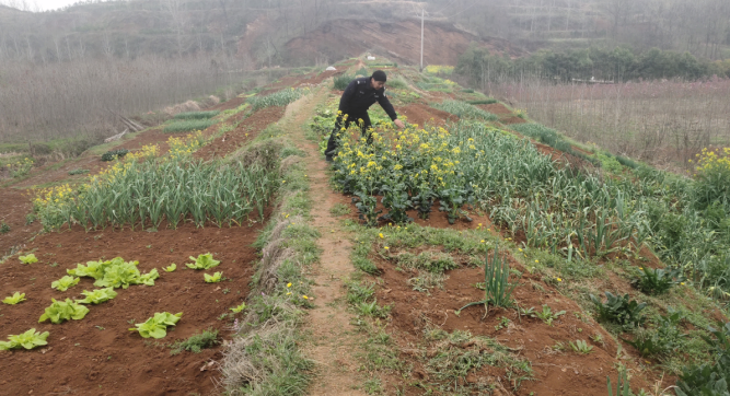 开展禁毒踏查  守护平安家园