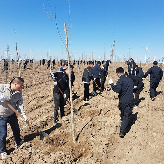 【“植”此青绿】长岭法院：义务植树添新绿