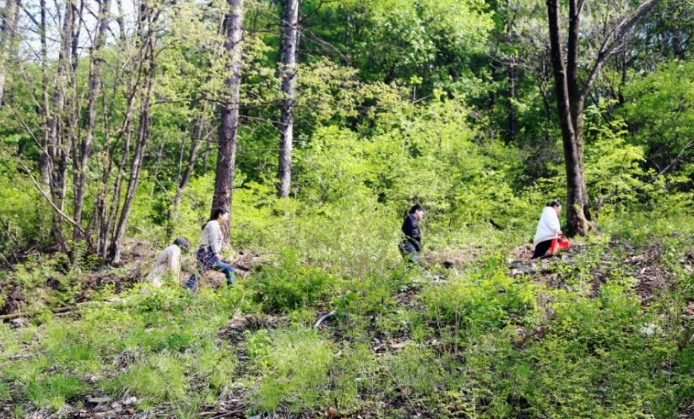 践行绿色司法 以补植实现“复绿”