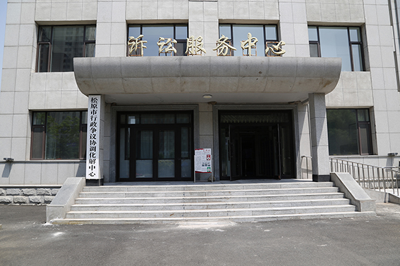 松原中院：府院联动机制书写法治政府新篇章