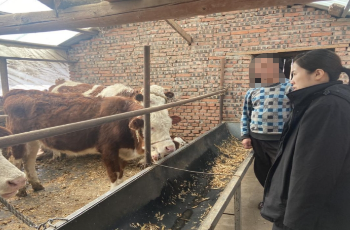 下沉村镇调查取证 司法为民再升温