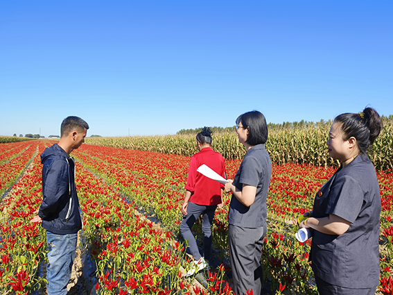 长岭法院：府院联动同向发力 多元化解行政