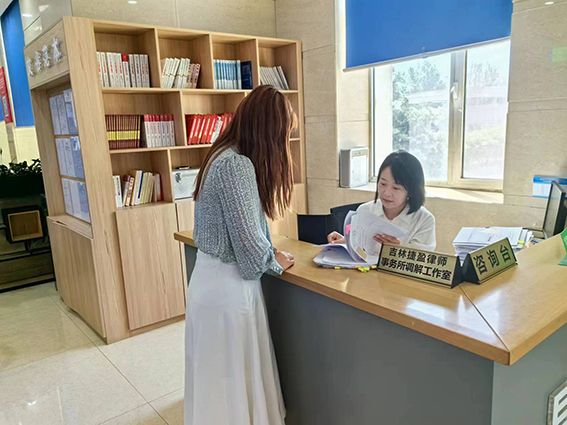 搭建诉源治理新平台 发挥律师调解大作用