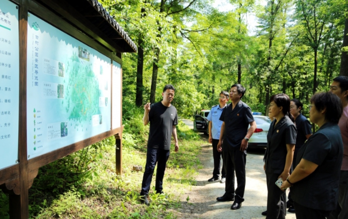 以绿色司法实践 构建白山市森林资源司法保