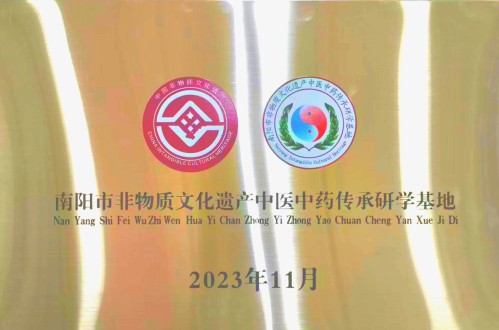 南阳市非遗中医中药传承研学基地与特色诊疗