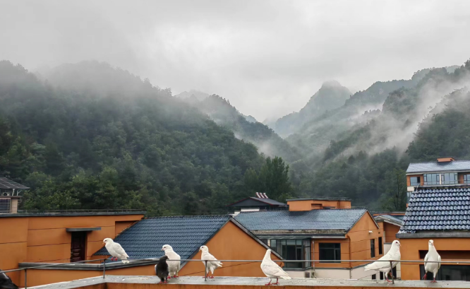 1721376333624763.png 微信图片_20240719160345.png