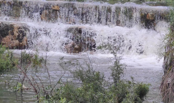 1722410664336102.png QQ图片20240731152347.png