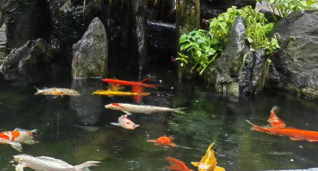 1722410732349233.png QQ图片20240731152518.png