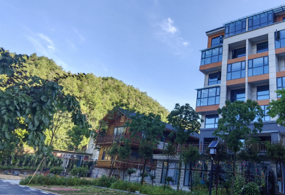 1722410907292482.png QQ图片20240731152704.png