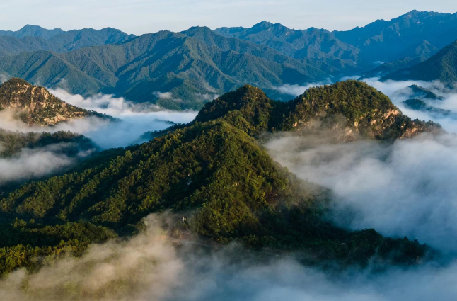 1722410964928266.png QQ图片20240731152737.png