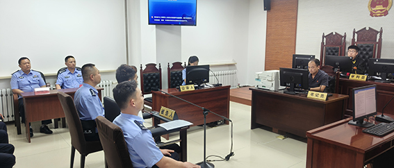 长岭法院：刑事速裁，手“盗”擒来