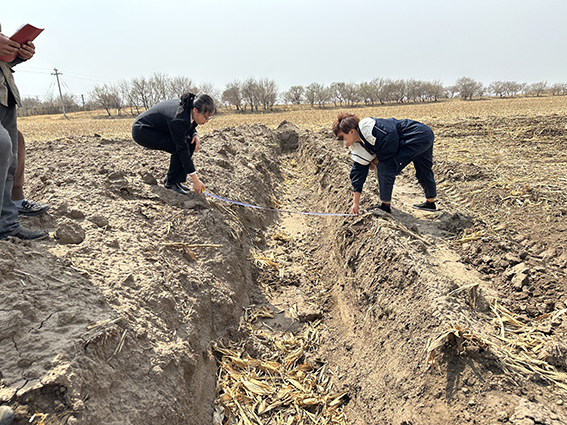 大布苏法庭：深耕基层诉源治理 筑牢田间地