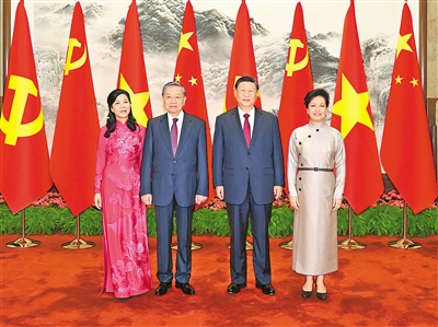 习近平同越共中央总书记、国家主席苏林会谈