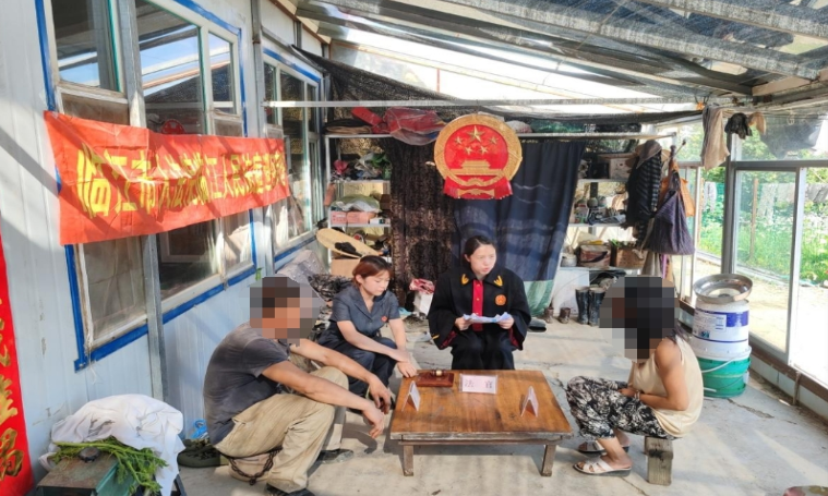 “院子里”的法庭