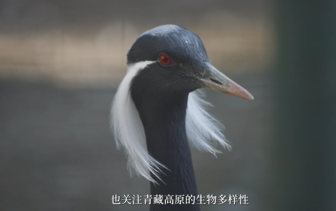 1726295428857928.png a8c3a8c0edec60d4424ed2f62a6caf08_0a2a7655c6833107a1261d581d2b7698.png