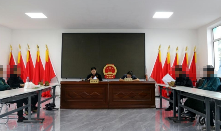 “巡回审判+零距离普法” 以司法之力护航