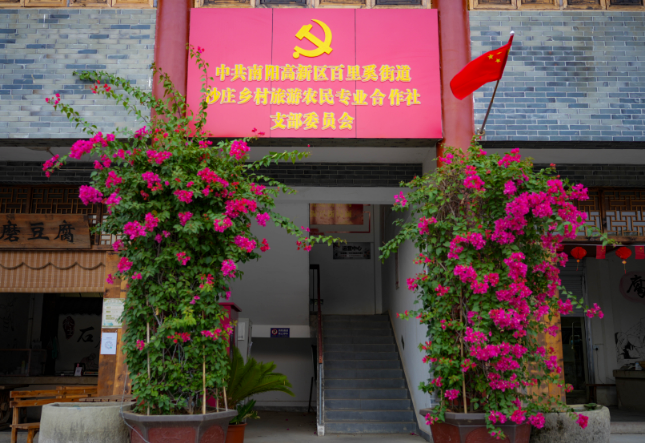 宛拾叁：党建引领乡村振兴，打造南阳靓丽风