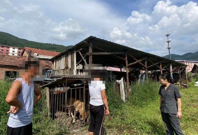 养犬伤人要担责 莫让“感情用事”伤了“邻