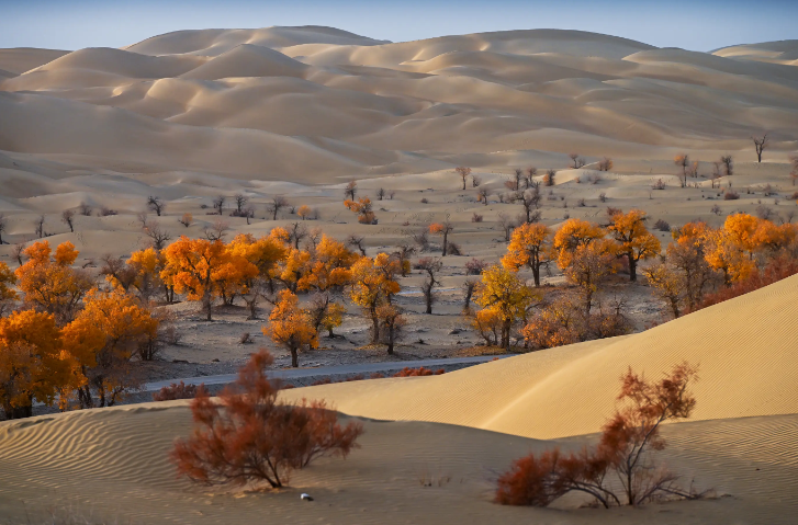 1730768587817790.png 294faf91ff7d507adaecdf2e54be89d8_020c47d5ecbdf3047b9b7b66231b5ba0.png