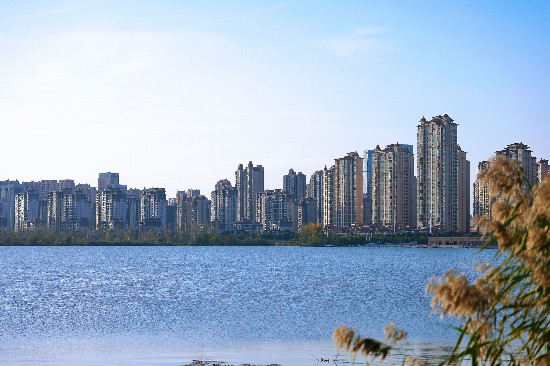 图为龙子湖风光。王晓飞 摄