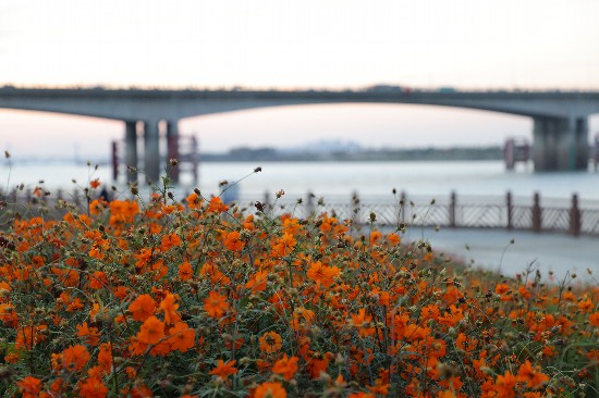 图为蚌埠市淮河两岸风光。王晓飞 摄