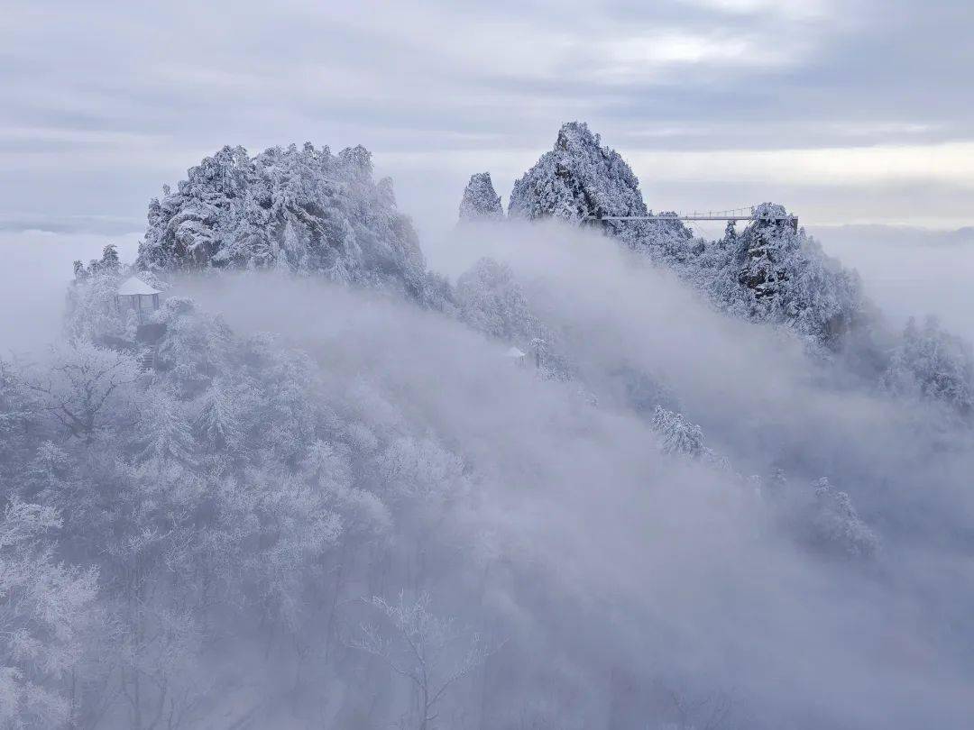 我盼你界岭秋天降瑞花