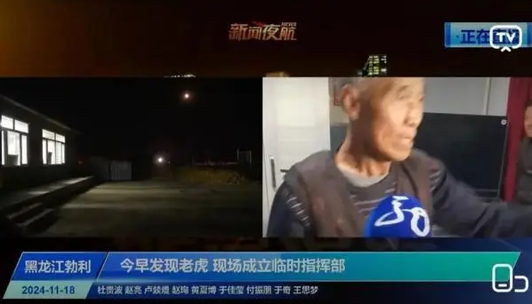 黑龙江勃利县回应：咬人老虎非必要不击毙，