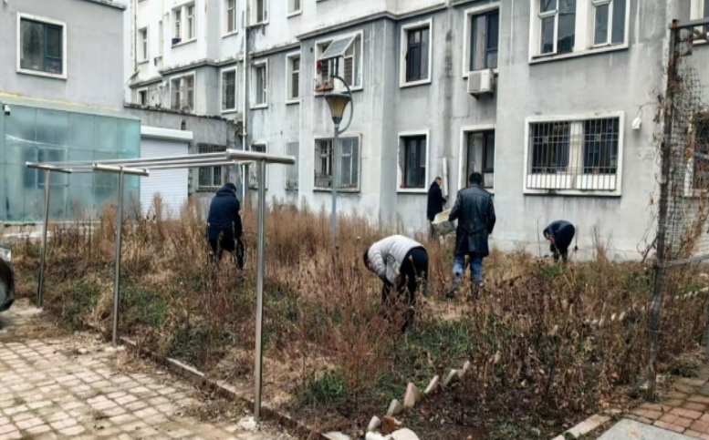 清除杂草垃圾 创建宜居环境