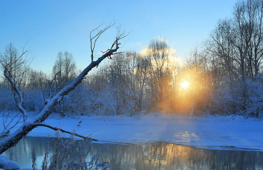​文/寒溪:冬天的魅力