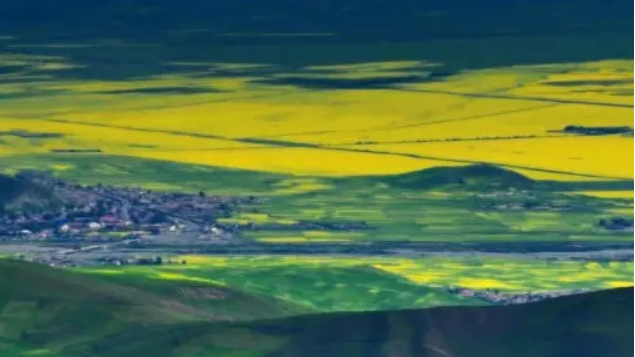 我深爱着这片土地