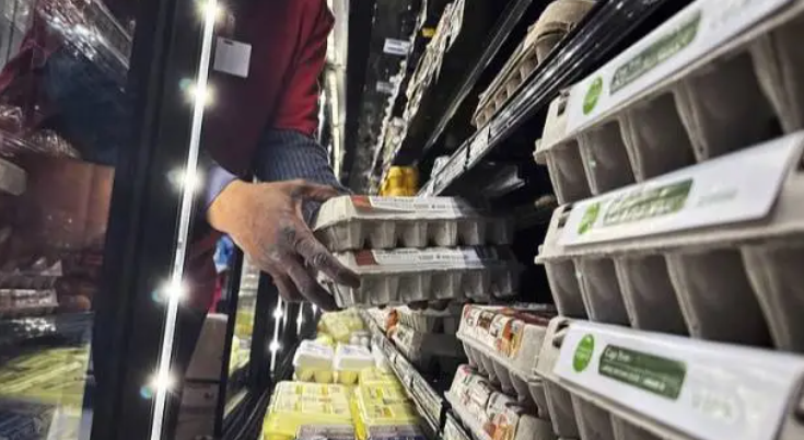 禽流感导致美国商店开始限购鸡蛋 鸡蛋盗窃