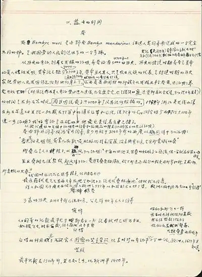 周尧：“雕虫小技”成大业