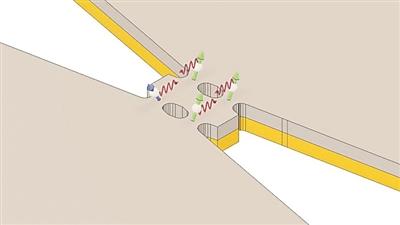 1741063106728312.jpg 7295c3b8b86f490c912c43ffac432e4f_00bc07313cf64425aa5880c83538cbad.jpg