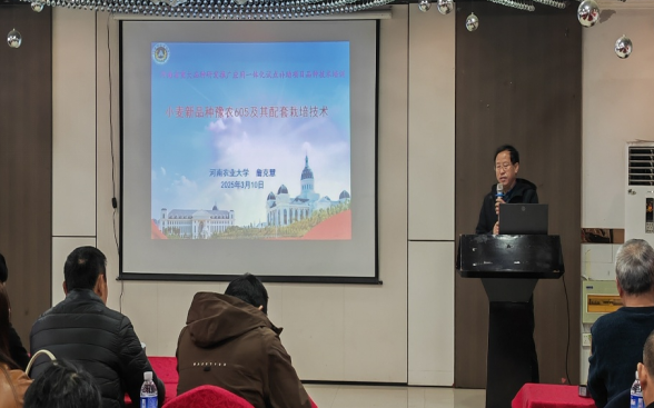 小麦新品种“豫农605”高产示范观摩及技