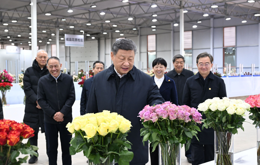 习近平在云南丽江市考察调研