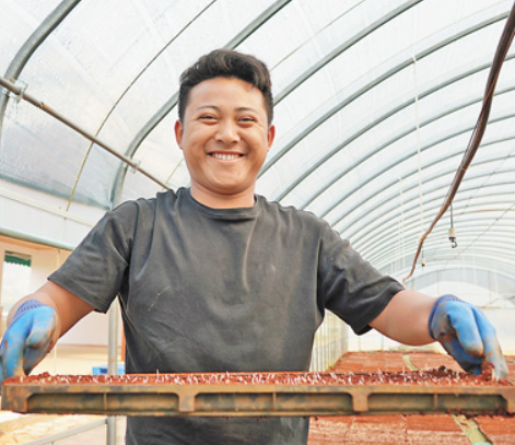  跟着课本探春耕（春耕进行时） 