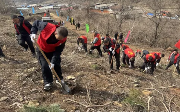 长白法院：践行绿色理念，强化生态司法保障