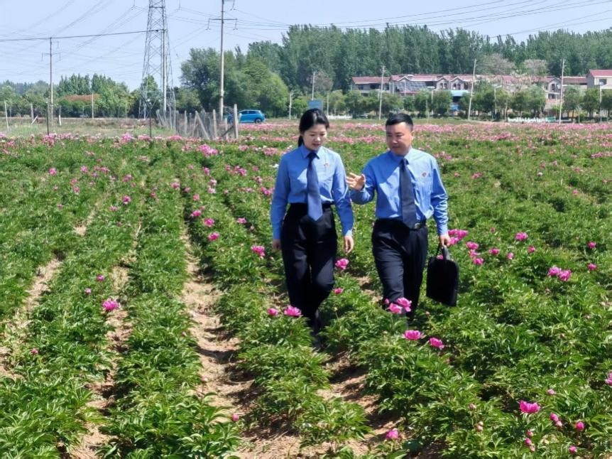 新媒体走基层看检察丨“检察蓝”为地方文化