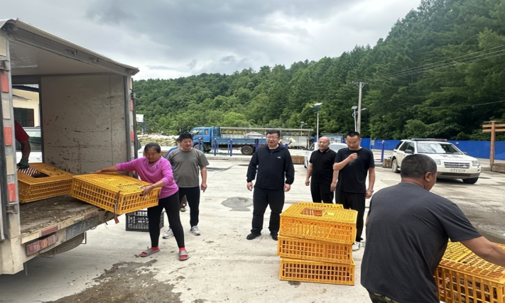 长白县法院：以司法之力守护美丽乡村，送雏