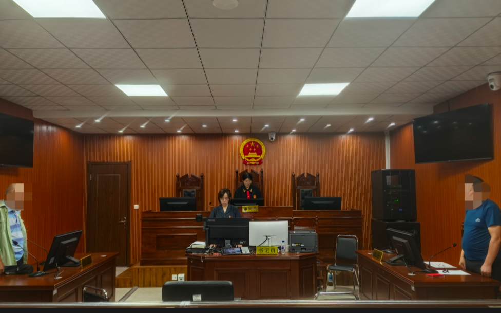 当庭宣判解纠纷 小额诉讼暖民心