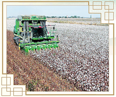 天山南北，写下“浓墨重彩的一笔”