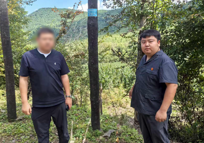 林间实地勘察，巧促执行和解