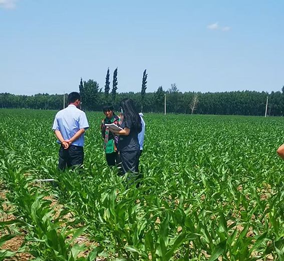 扶余法院：“带苗返还”解纠纷 守护青苗暖
