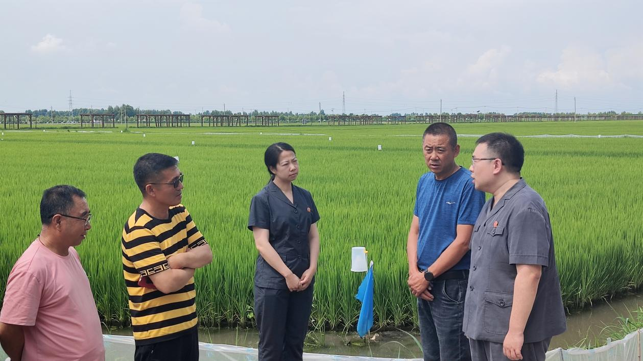 永吉法院：技术赋能防未病， 司法护航保粮
